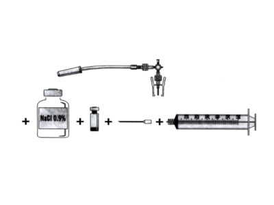 noticia5-factorplus-2024